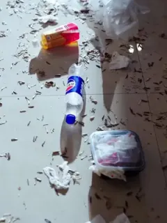 Bina Dinasti Guna Teknologi