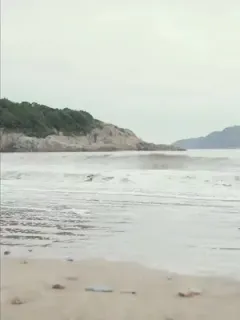 Bisikan sang laut