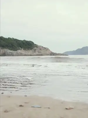 Bisikan sang laut