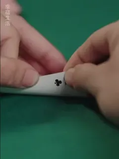 Dendam sang penipu kartu