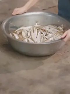 Istri penjual ikan sang CEO
