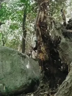Kembalinya Sang Setengah Dewa