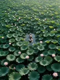 Kembaran yang terbuang