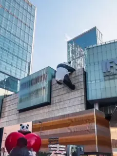 Menantu Pilihan Sang Nyonya