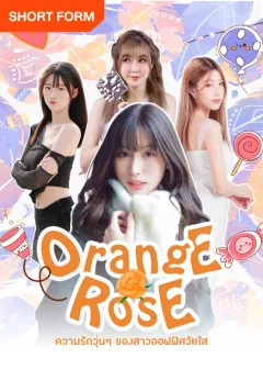 Orange Rose