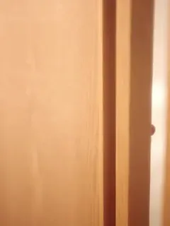 Pelayan Cantik Milik Presdir
