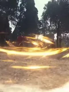 Pewaris Shaolin Kembali ke Keluarga