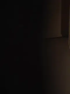 Sang Kakak Penyelamat