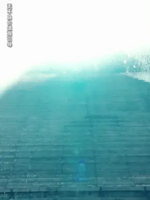 Suamiku Ketua Kuil Dewa Naga